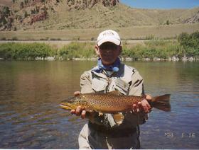 Large Tailwater Brown
