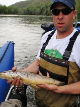 average fish