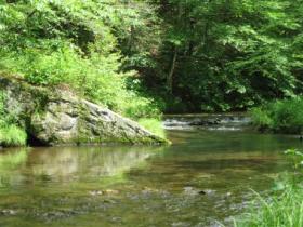  Potter county 
