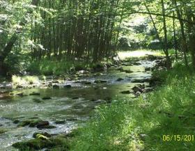 hickory run
