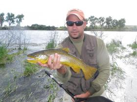 Bighorn Brown