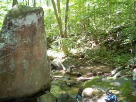 Scenic brookie stream