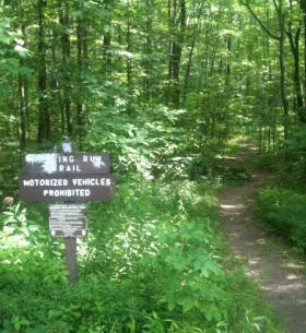 Roaring Run Trail