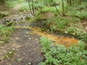Natural Acid Seepage?