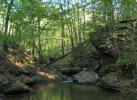Another awesome spot