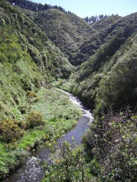 North Island Stream pic