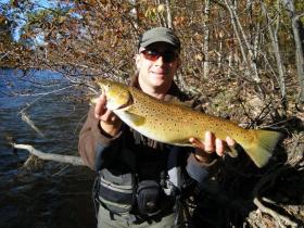 Salmon River Brown