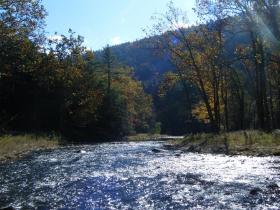 Penns Creek Scenery