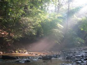 Ray of hope