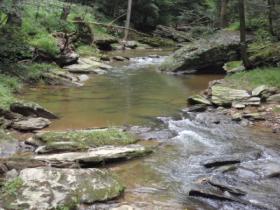 York Co. trout stream