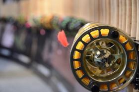 Reel it in