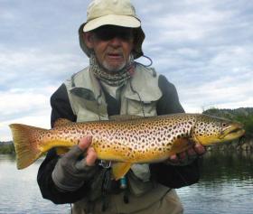 Tailwater brown
