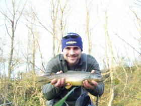 Limestone Brown Trout