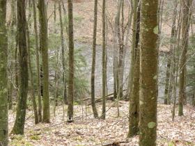Slate Run