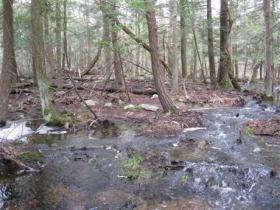  Birth of a stream
