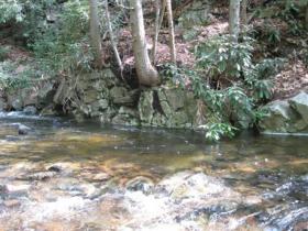  Carbon county