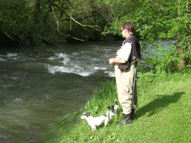 Squaretail on Spring Creek, Jam 11