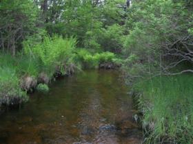  Carbon county