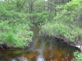  Carbon county