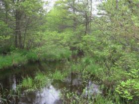  Carbon county