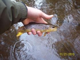 clarks creek late 2010