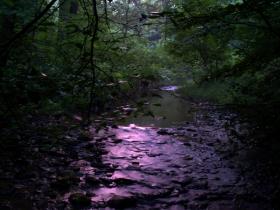 Fading Light