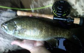 My Best Smallie EVER!!!!