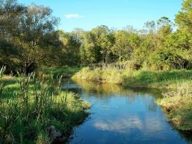 Brown Trout Heaven