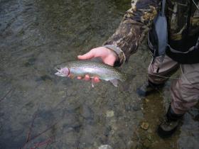 Limestone Rainbow