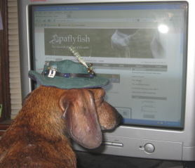 Paflyfish.com - Yuh Gotta Love It!
