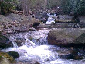rocks