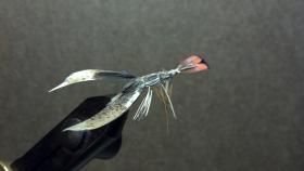 Crayfish (Crawdad)