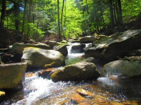 New Waters 