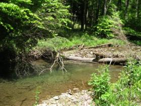 Small native stream