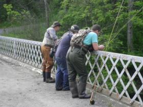 Waitin' for the Sulphurs - Spring Creek - 2012 Jam