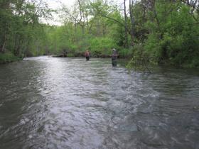 Swattie and Squatch fishing Spring