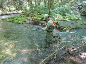 Swattie fishing brookies