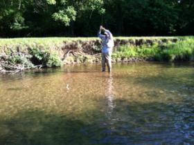 Two Trout on