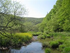 Potter county