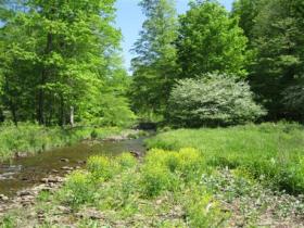 Potter county