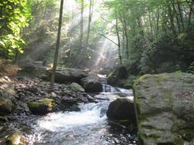 Carbon county