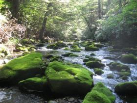 Carbon county