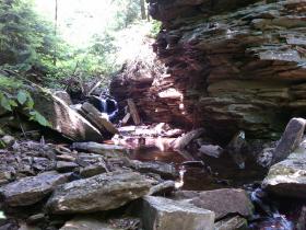 brookie water