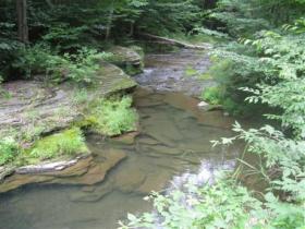Potter county