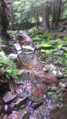 cool mtn stream: 51F at 1PM August 2nd