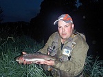 Wild Bow