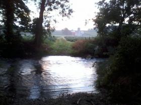 gorgeous morning on the stream
