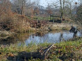Foxgap on WB Perkiomen