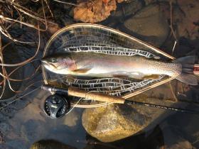 North Branch Bow!!!