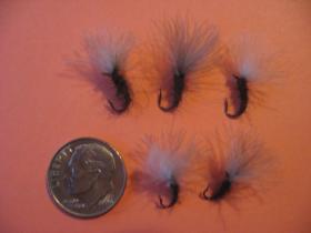 Mole Fly